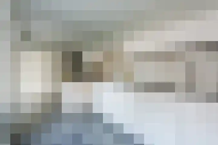 Admiraal Byrdstraat 22 Geldrop thumbnail 14