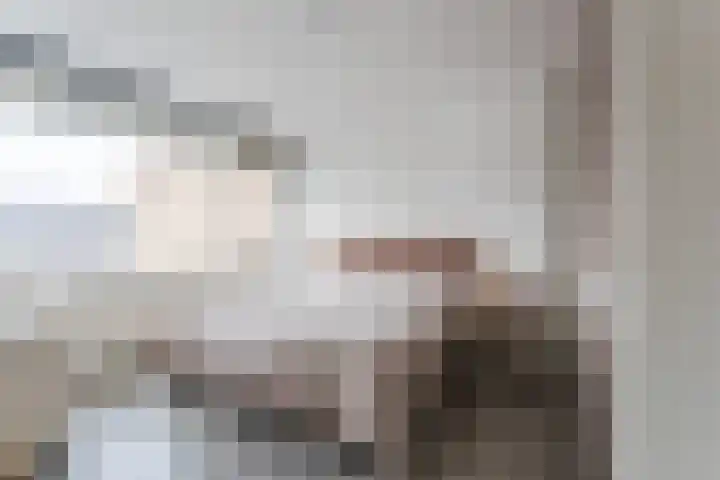 Admiraal Byrdstraat 22 Geldrop thumbnail 19