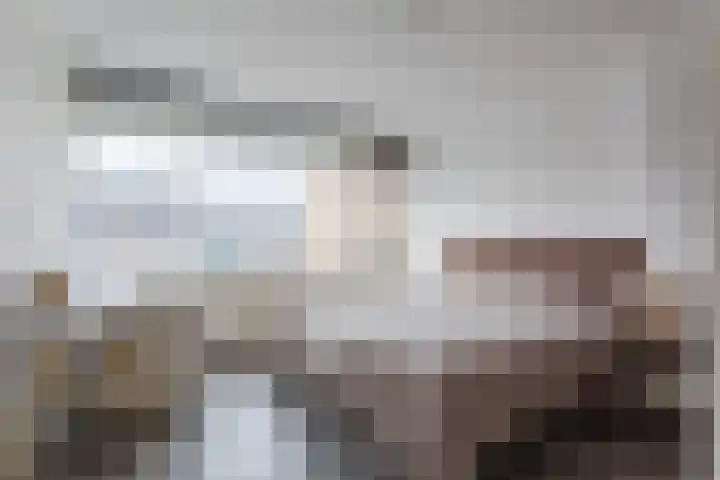 Admiraal Byrdstraat 22 Geldrop thumbnail 20