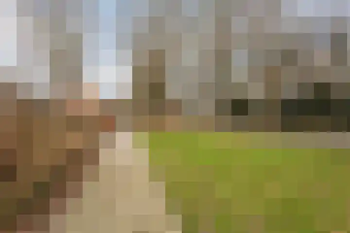 Admiraal Byrdstraat 22 Geldrop thumbnail 41