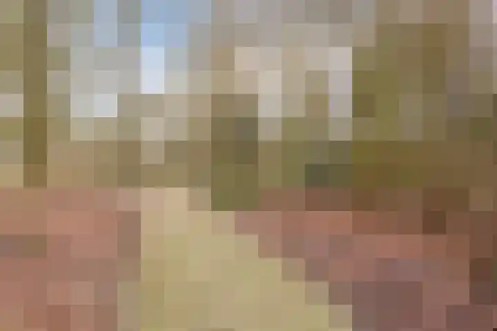 Admiraal Byrdstraat 22 Geldrop thumbnail 42