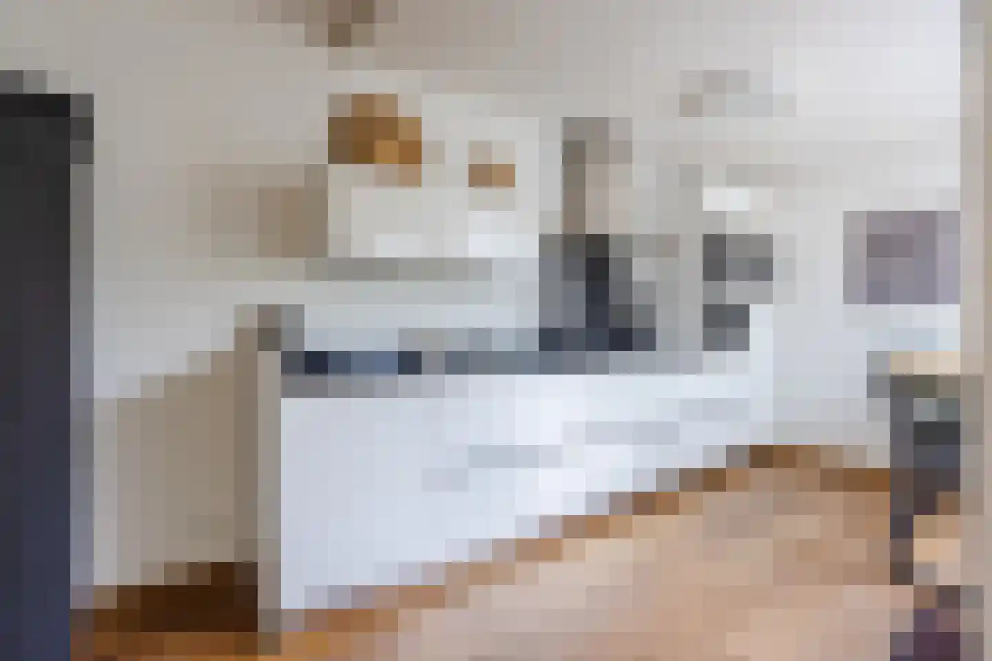 Admiraal Byrdstraat 26 Geldrop thumbnail 12