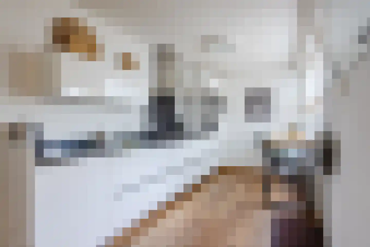 Admiraal Byrdstraat 26 Geldrop thumbnail 13