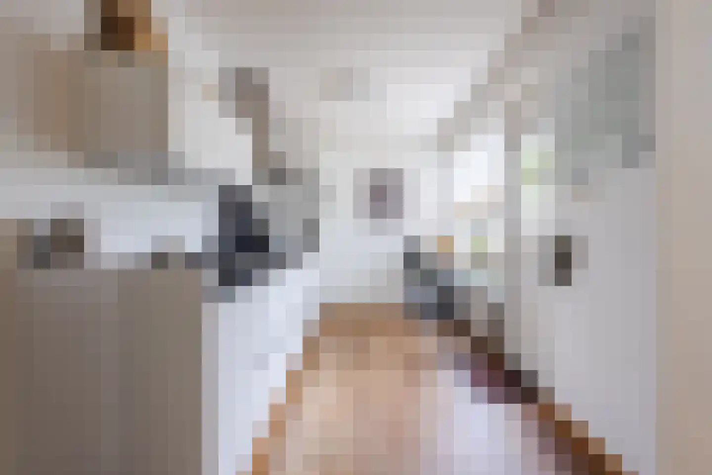 Admiraal Byrdstraat 26 Geldrop thumbnail 14