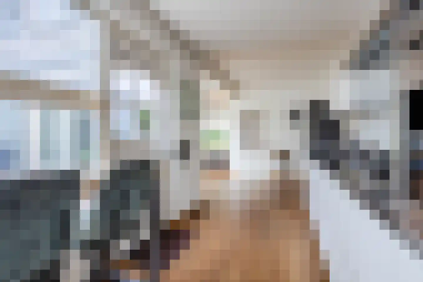Admiraal Byrdstraat 26 Geldrop thumbnail 15