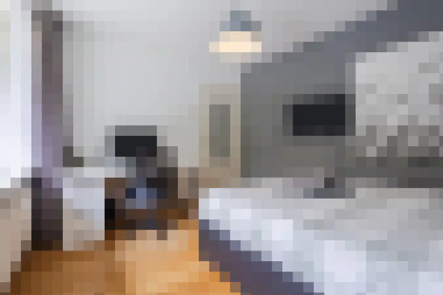 Admiraal Byrdstraat 26 Geldrop thumbnail 20