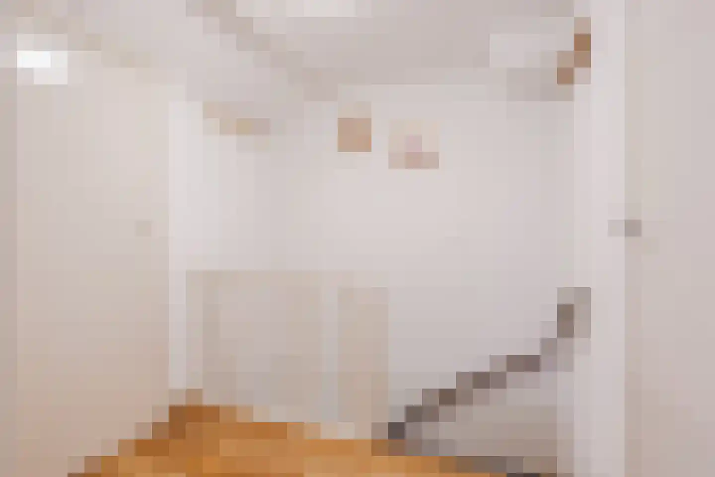 Admiraal Byrdstraat 26 Geldrop thumbnail 24