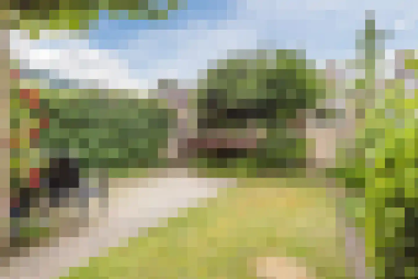 Admiraal Byrdstraat 26 Geldrop thumbnail 28