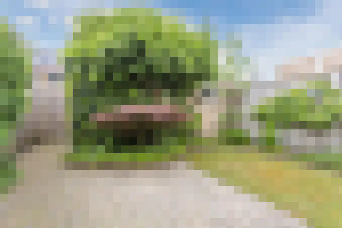 Admiraal Byrdstraat 26 Geldrop thumbnail 30