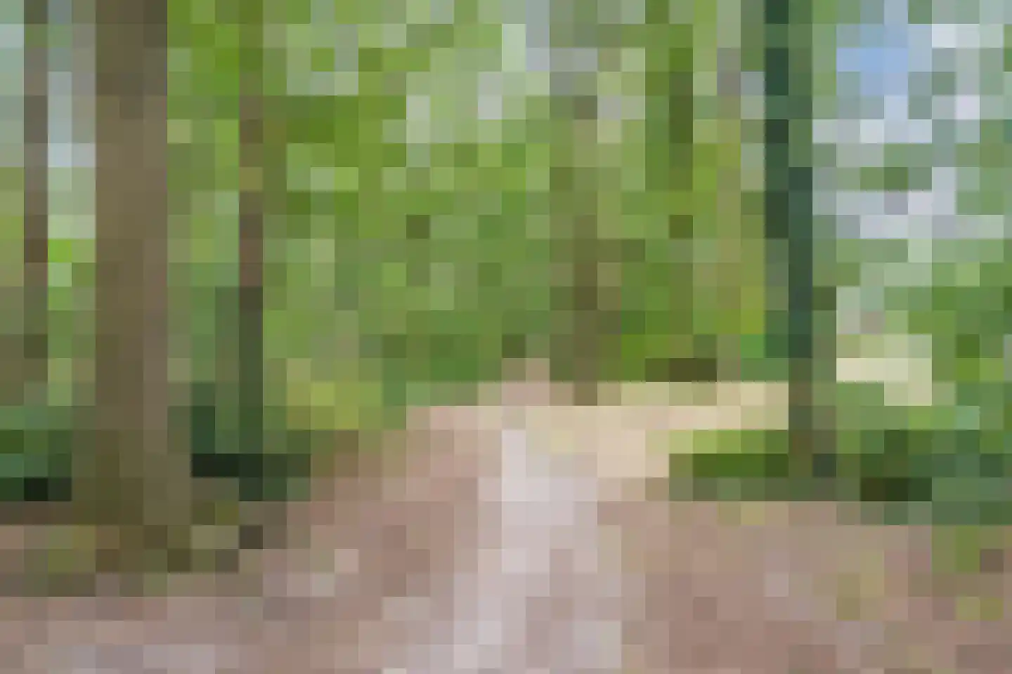 Admiraal Byrdstraat 26 Geldrop thumbnail 35