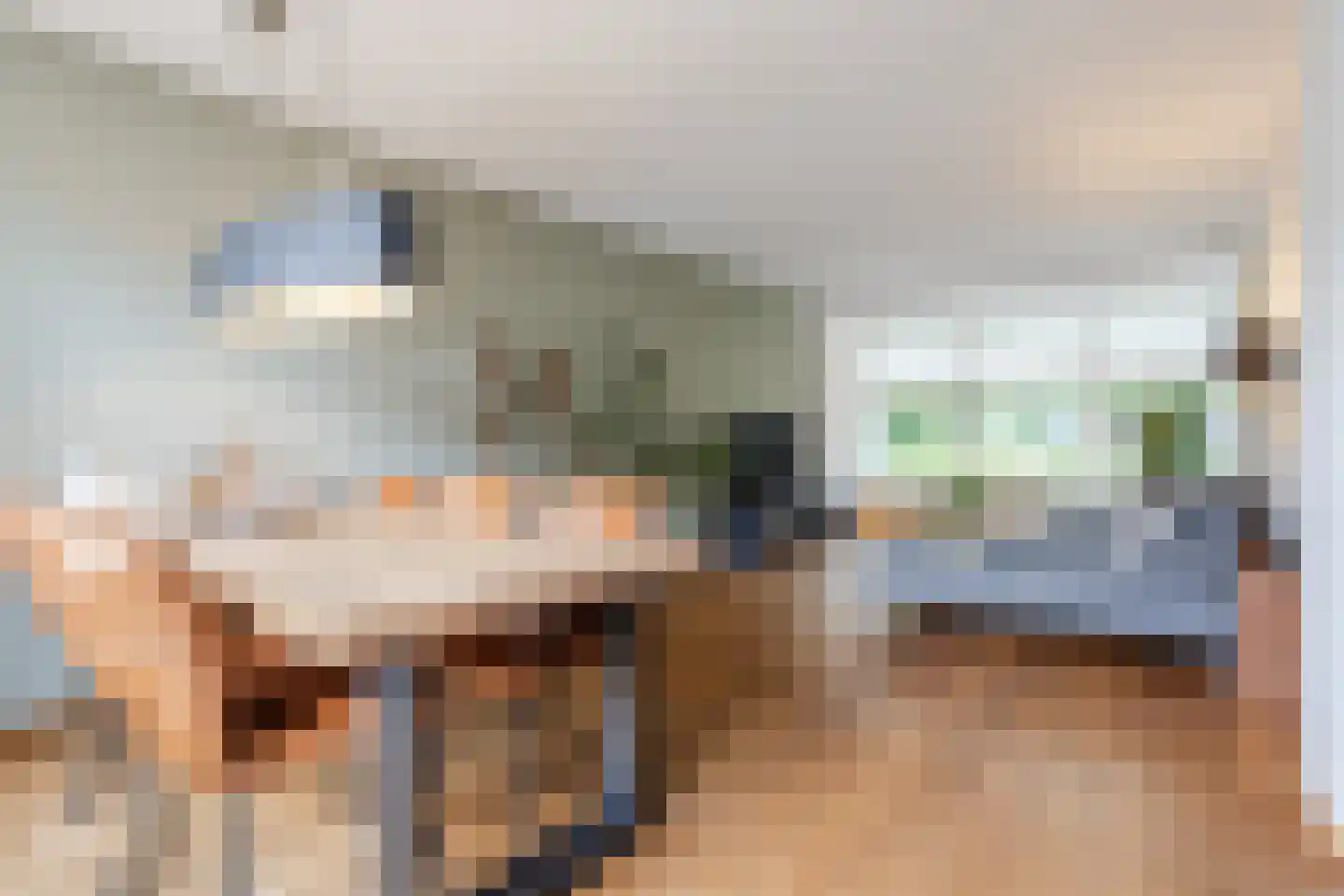 Admiraal Byrdstraat 26 Geldrop thumbnail 8