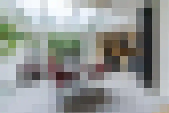 Admiraal Byrdstraat 4 Geldrop thumbnail 10