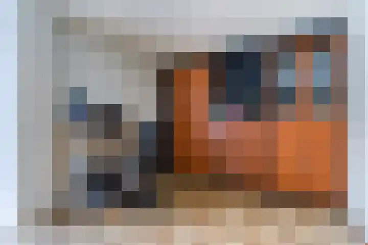 Admiraal Byrdstraat 4 Geldrop thumbnail 12