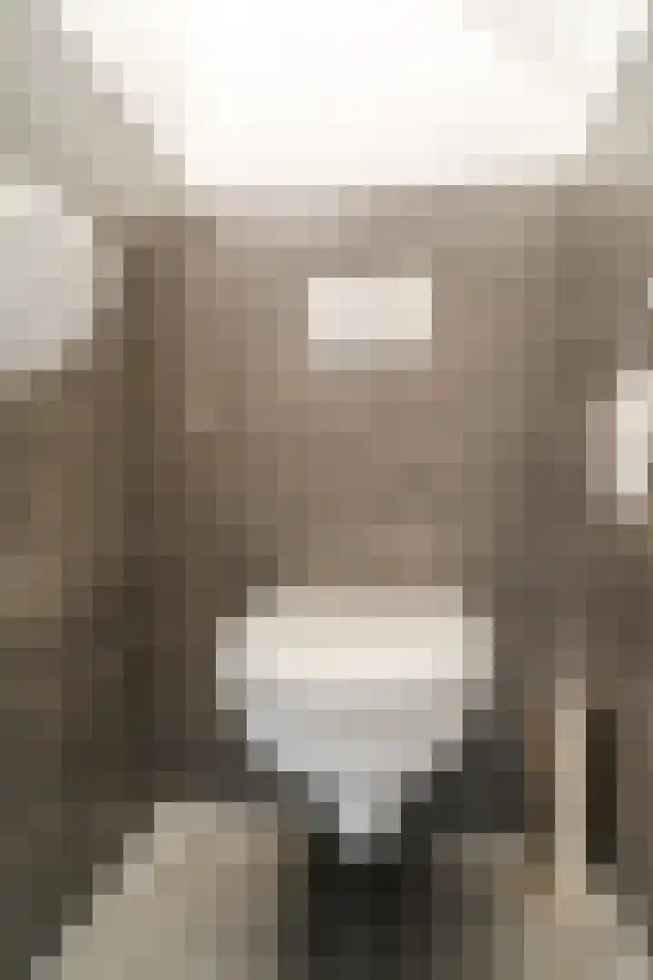 Admiraal Byrdstraat 4 Geldrop thumbnail 17