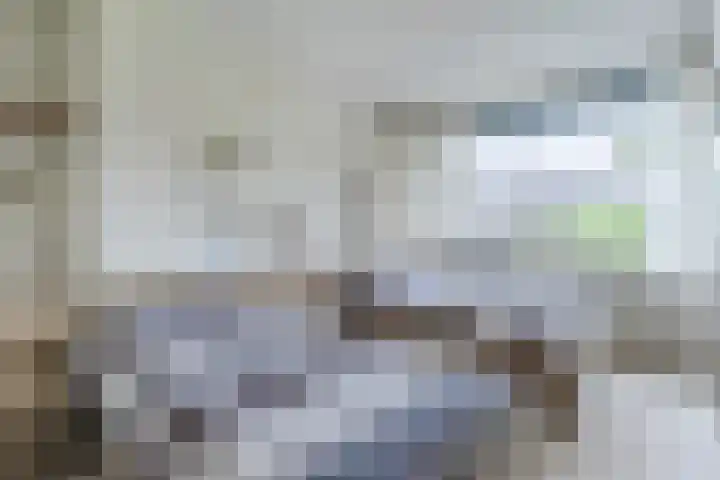 Admiraal Byrdstraat 4 Geldrop thumbnail 20