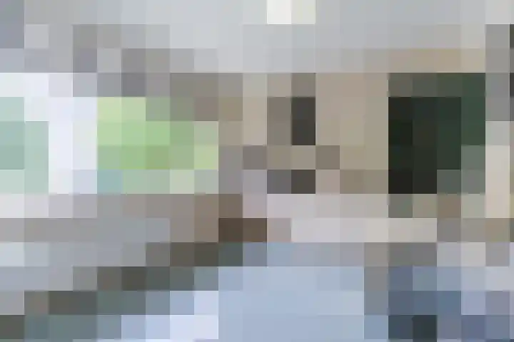 Admiraal Byrdstraat 4 Geldrop thumbnail 24