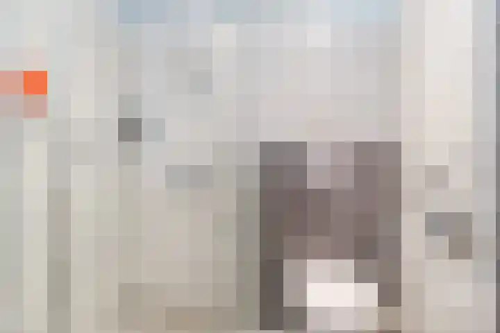 Admiraal Byrdstraat 4 Geldrop thumbnail 27