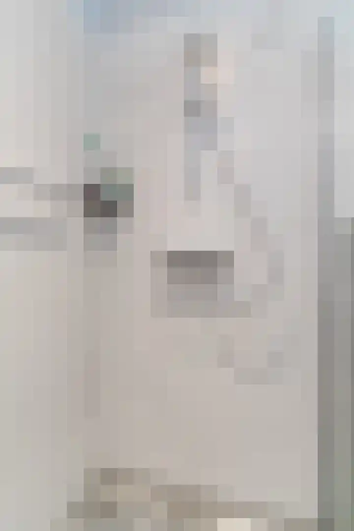Admiraal Byrdstraat 4 Geldrop thumbnail 28