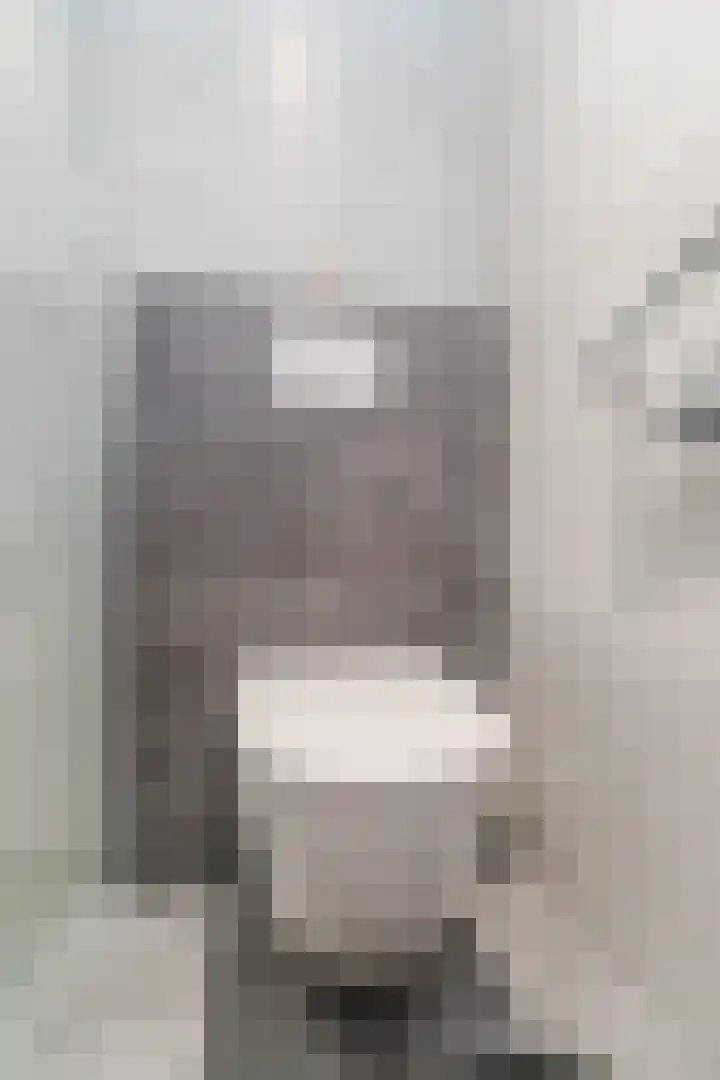 Admiraal Byrdstraat 4 Geldrop thumbnail 29