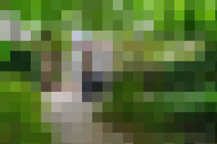 Admiraal Byrdstraat 4 Geldrop thumbnail 33
