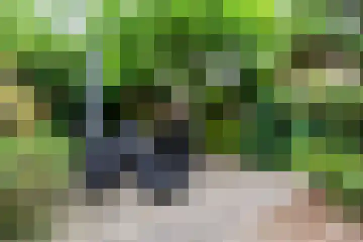 Admiraal Byrdstraat 4 Geldrop thumbnail 34