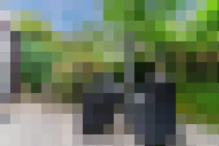 Admiraal Byrdstraat 4 Geldrop thumbnail 35