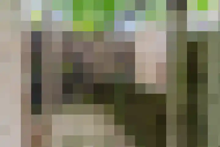 Admiraal Byrdstraat 4 Geldrop thumbnail 36