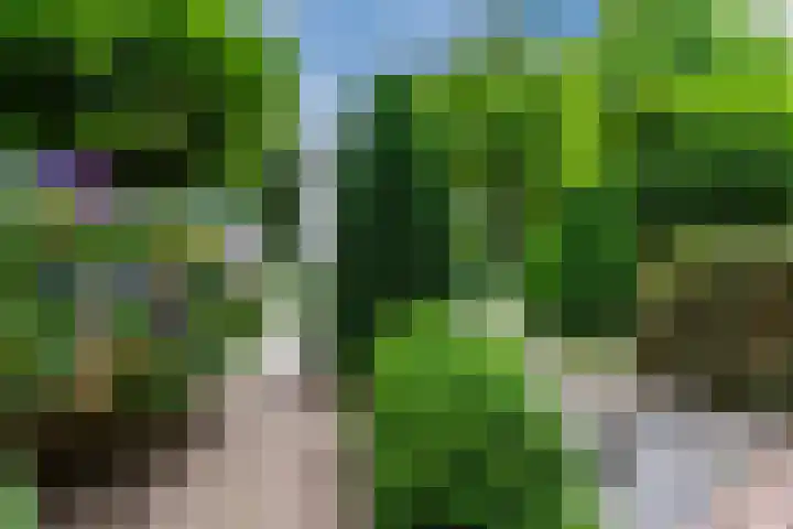 Admiraal Byrdstraat 4 Geldrop thumbnail 38