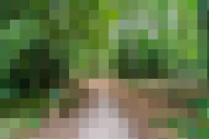 Admiraal Byrdstraat 4 Geldrop thumbnail 41
