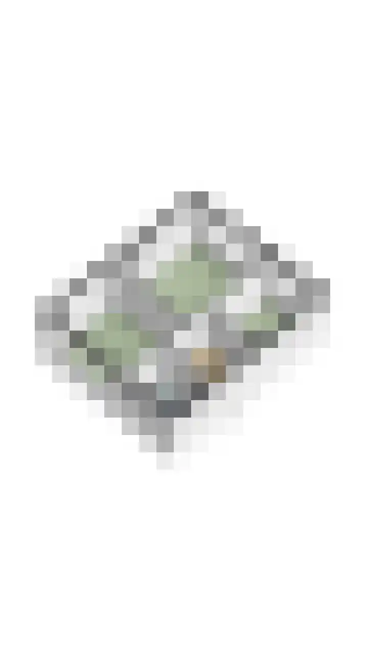 Admiraal Byrdstraat 4 Geldrop thumbnail 50