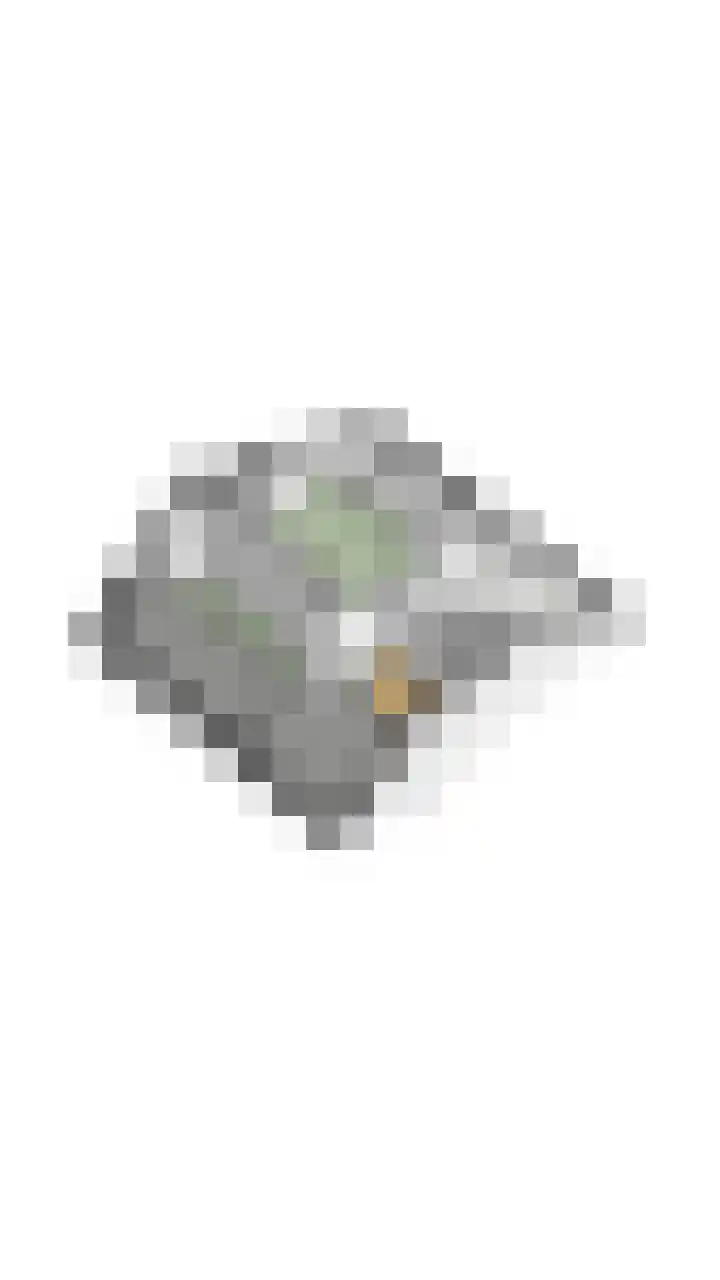 Admiraal Byrdstraat 4 Geldrop thumbnail 51