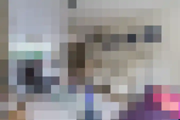 Admiraal Byrdstraat 4 Geldrop thumbnail 8
