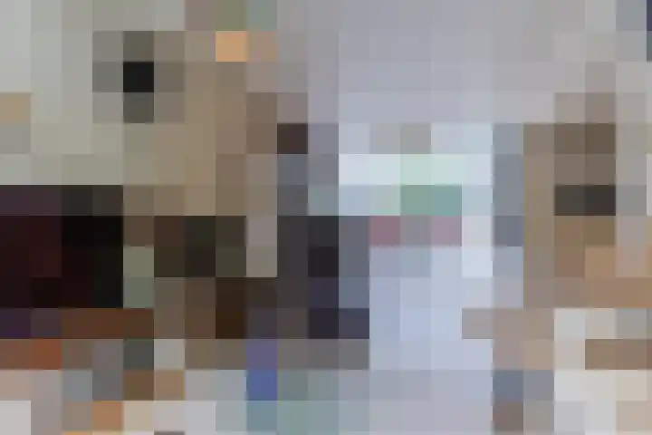 Admiraal Byrdstraat 4 Geldrop thumbnail 9
