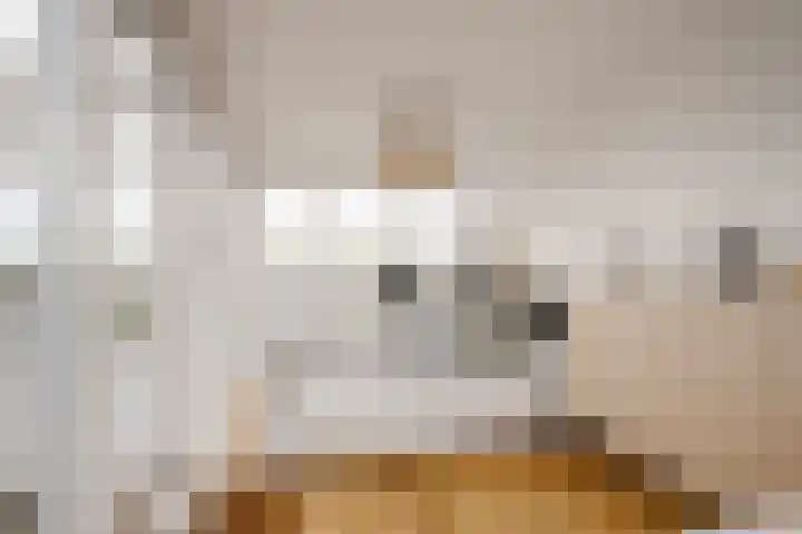 Admiraal De Ruijterweg 108 4 Amsterdam thumbnail 17