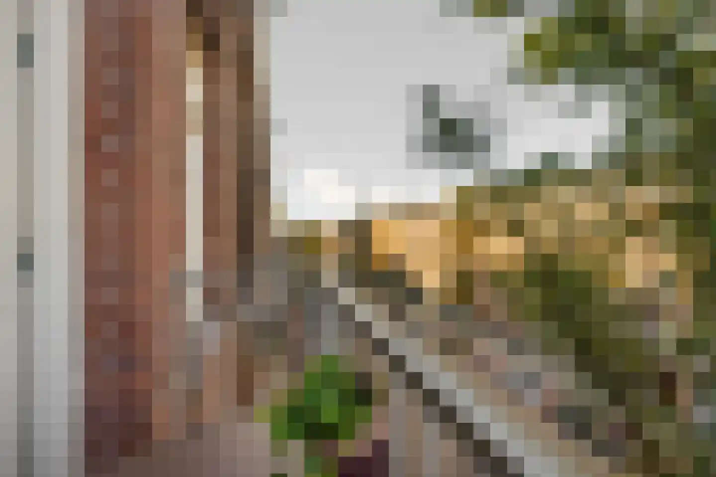 Admiraal De Ruijterweg 118 3 Amsterdam thumbnail 21