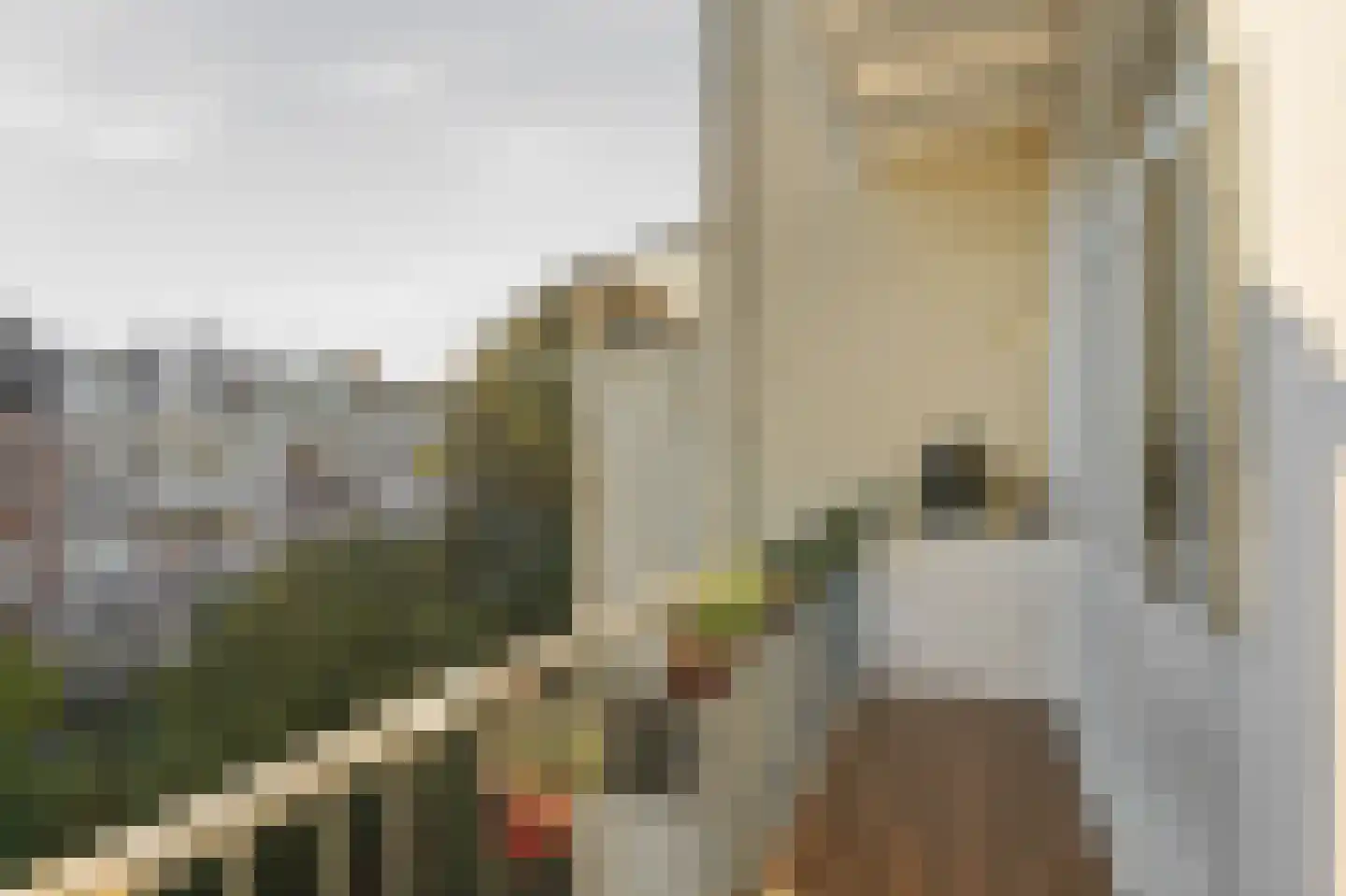 Admiraal De Ruijterweg 118 3 Amsterdam thumbnail 9