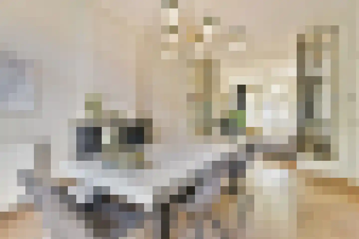 Admiraal De Ruijterweg 121 2 Amsterdam thumbnail 7