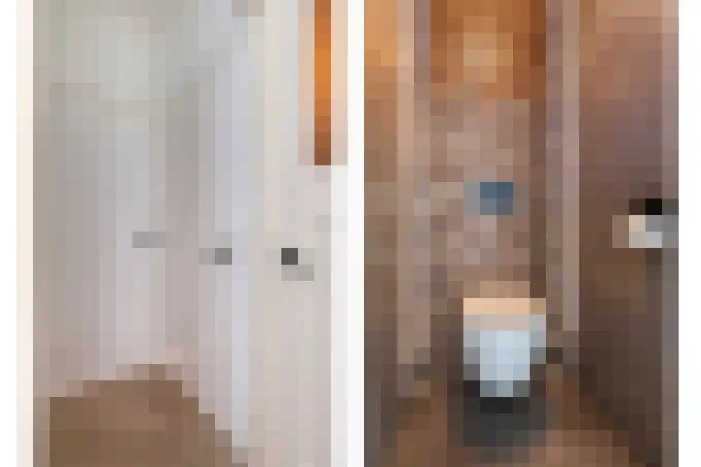 Admiraal De Ruijterweg 123 2 Amsterdam thumbnail 20