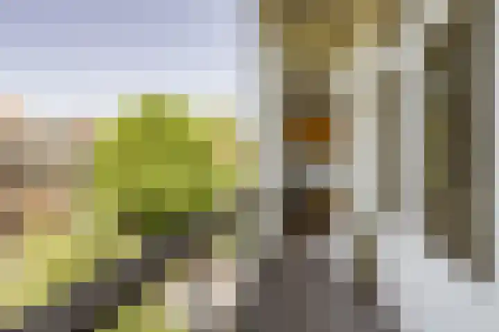 Admiraal De Ruijterweg 131 2 Amsterdam thumbnail 12