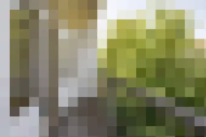 Admiraal De Ruijterweg 131 2 Amsterdam thumbnail 13