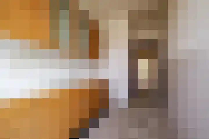 Admiraal De Ruijterweg 131 2 Amsterdam thumbnail 18