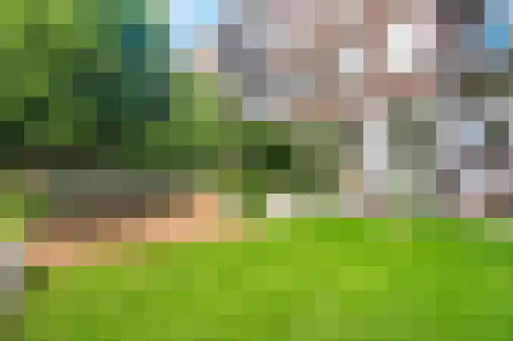 Admiraal De Ruijterweg 131 2 Amsterdam thumbnail 27