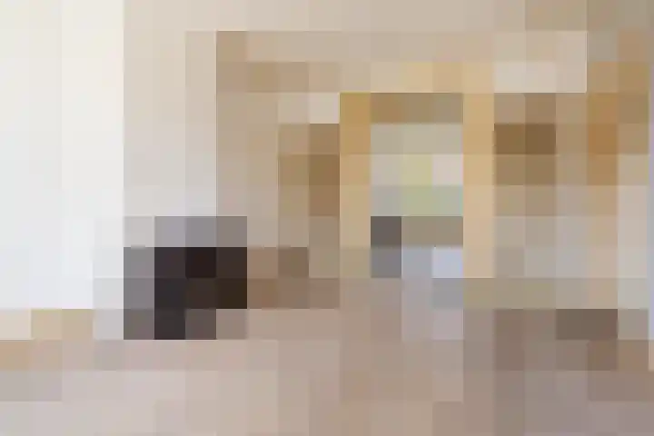 Admiraal De Ruijterweg 131 2 Amsterdam thumbnail 4