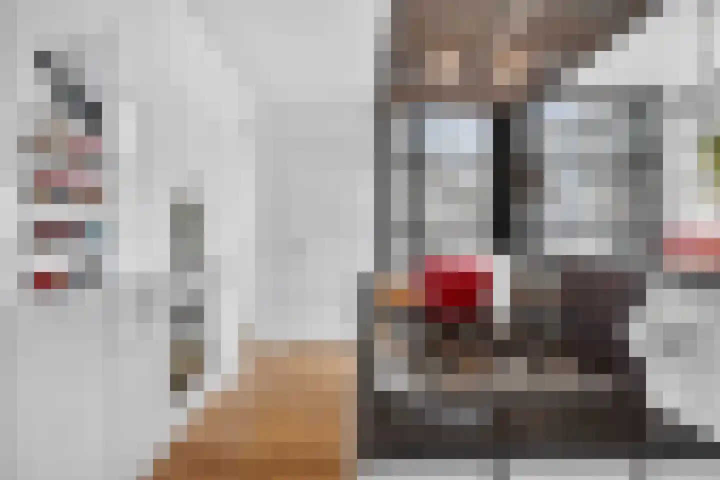 Admiraal De Ruijterweg 138 4 Amsterdam thumbnail 9