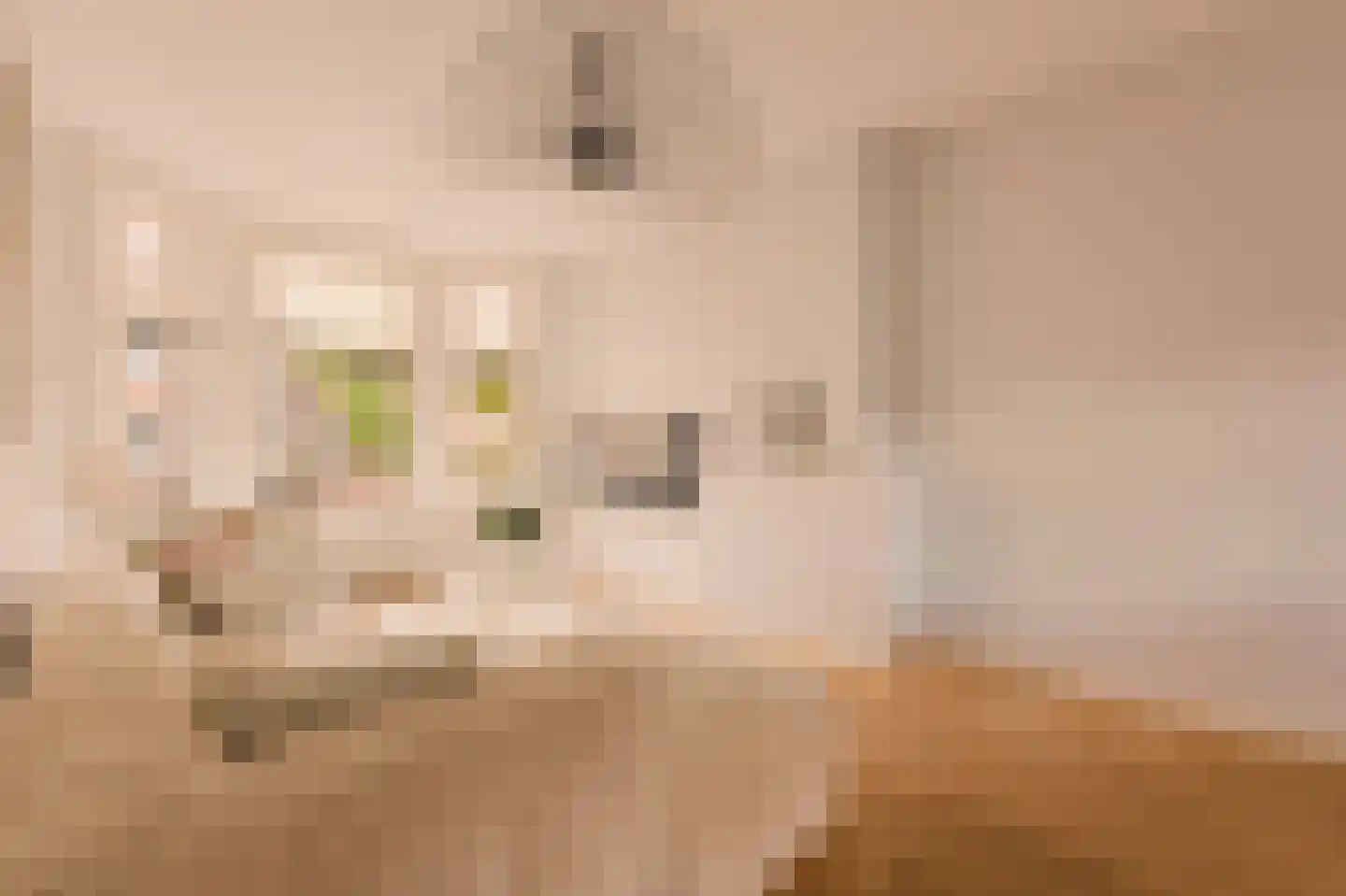 Admiraal De Ruijterweg 139 3 Amsterdam thumbnail 5