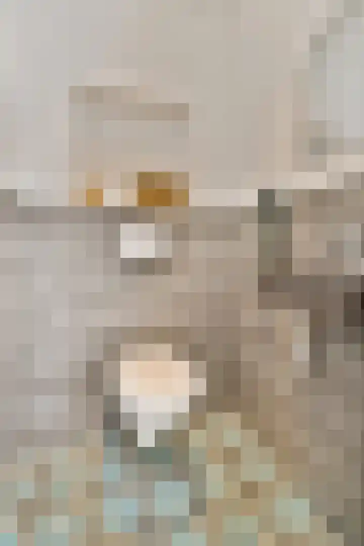 Admiraal De Ruijterweg 146 4 Amsterdam thumbnail 19