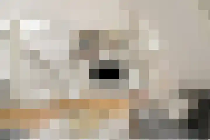 Admiraal De Ruijterweg 146 4 Amsterdam thumbnail 9