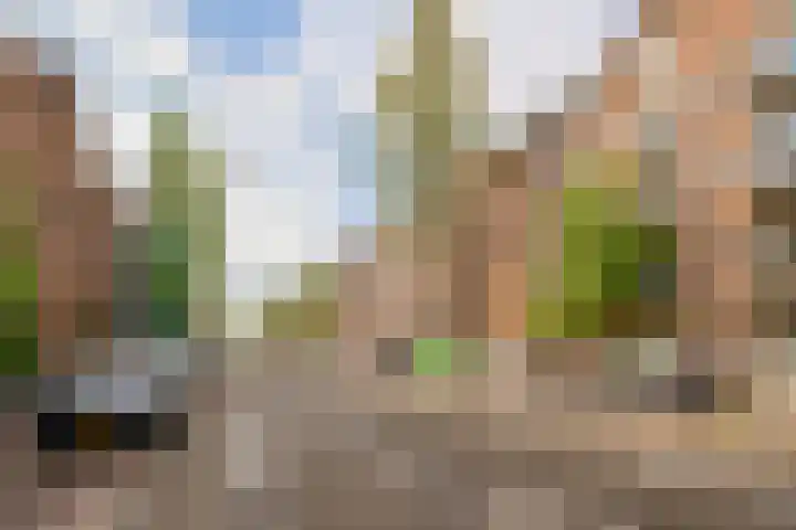 Admiraal De Ruijterweg 155 4 Amsterdam thumbnail 28