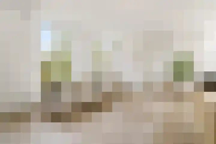Admiraal De Ruijterweg 155 4 Amsterdam thumbnail 7