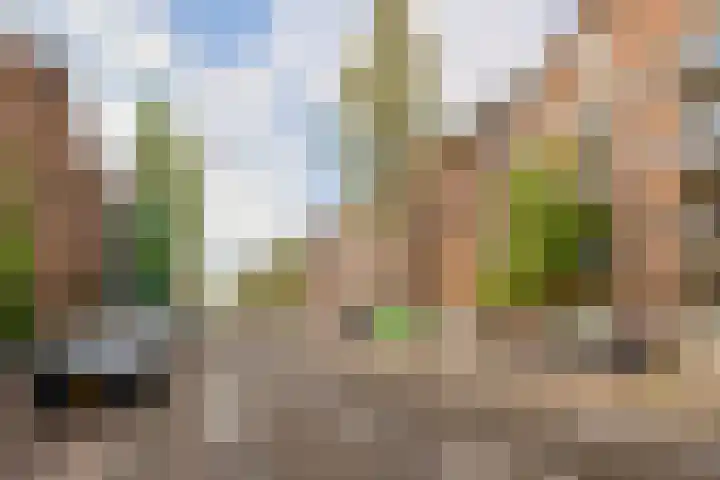 Admiraal De Ruijterweg 157 4 Amsterdam thumbnail 44